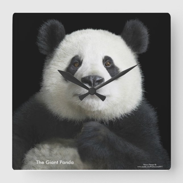 Panda-Bild für die Uhr (Vorderseite)