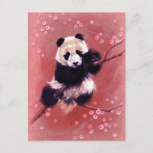 Panda Blossom Postkarte