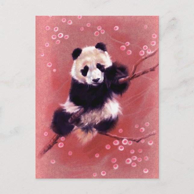 Panda Blossom Postkarte (Vorderseite)