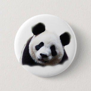Panda Button