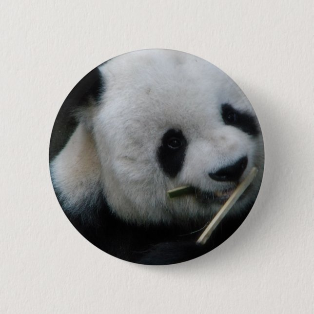 Panda Button (Vorderseite)