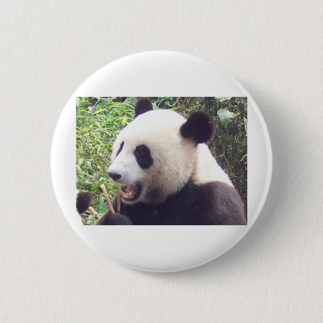 Panda Button (Vorderseite)