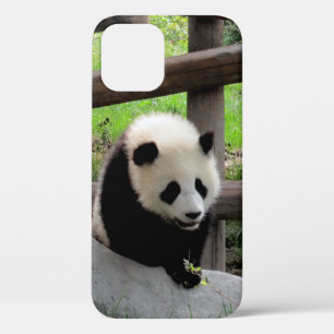 Panda Case-Mate iPhone Hülle
