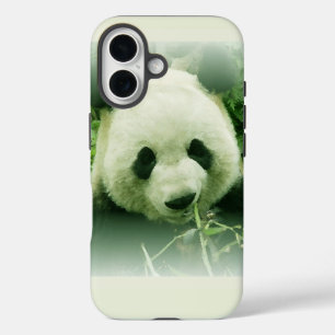 Panda iPhone 16 Hülle