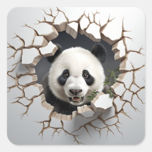 Panda Cracks Hole Art Panda Smashed Wall 3D Quadratischer Aufkleber