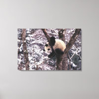 Panda cub, der auf schneebedeckten Baum spielt,