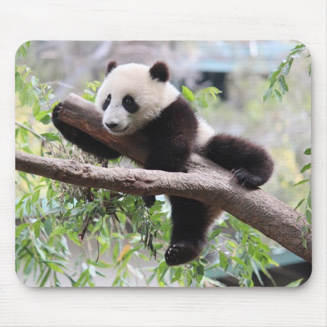 Panda CUB Mousepad (Vorne)