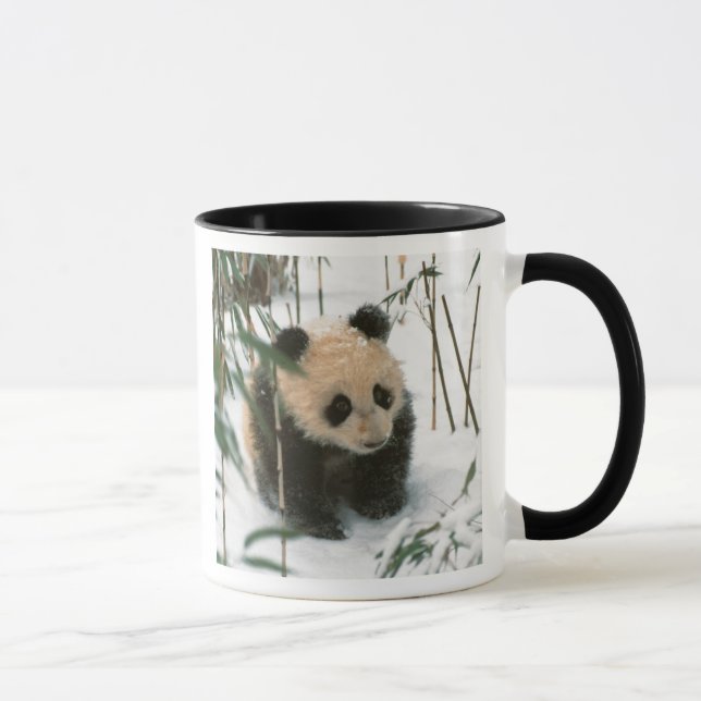 Panda cube on snow, Wolong, Sichuan, China Tasse (Rechts)