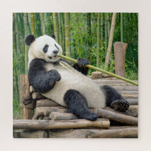 Panda, der an einem Bambusstängel kaut Puzzle