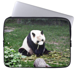 Panda, der Bambus isst Laptopschutzhülle