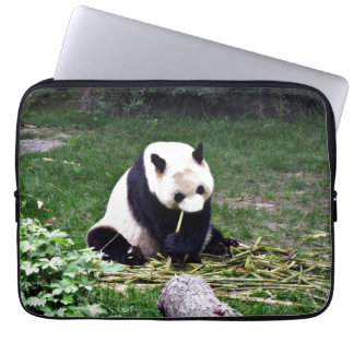 Panda, der Bambus isst Laptopschutzhülle