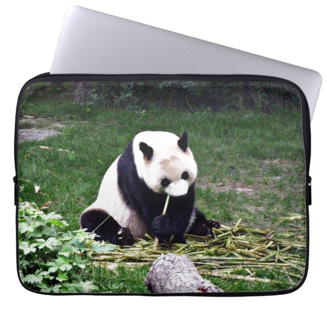 Panda, der Bambus isst Laptopschutzhülle (Vorderseite)