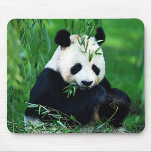 Panda Eating Blätter Mousepad