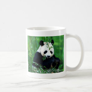 Panda Eating Blätter Tasse
