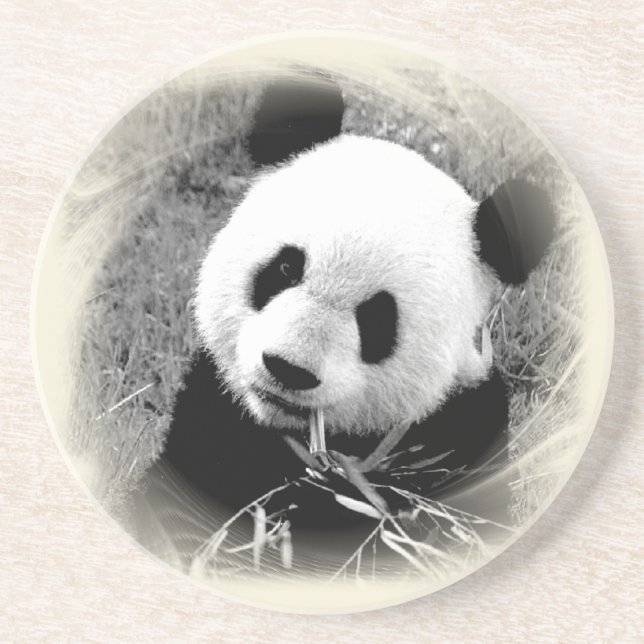 Panda Eyes Untersetzer (Vorne)