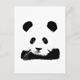 Panda Flüchtigen Blicke Out Postkarte
