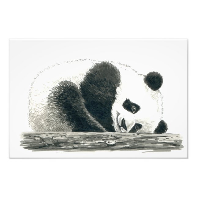 Panda Fotodruck (Vorne)