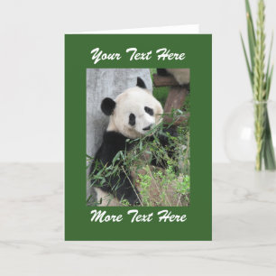 Panda Fügen Sie Ihren eigenen Text ein. Leer inne Karte