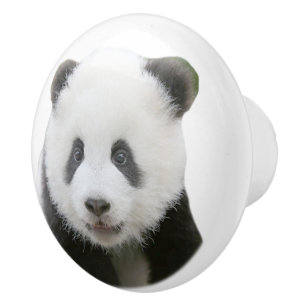 Panda-Gesicht Keramikknauf