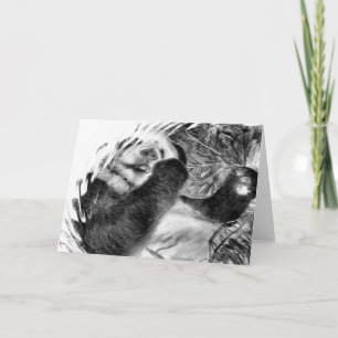 Panda Hug B&W Grußkarte Karte