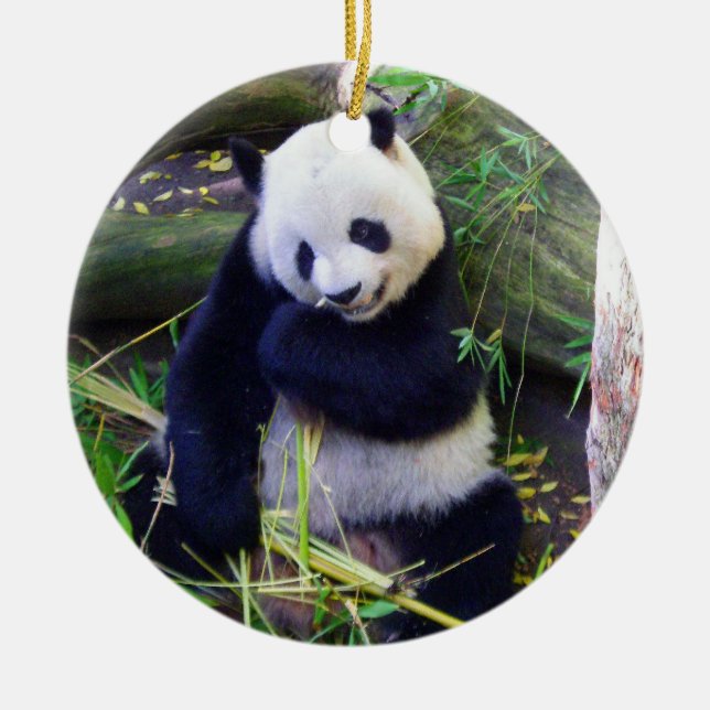 Panda im Zoo von San Diego Keramik Ornament (Vorne)