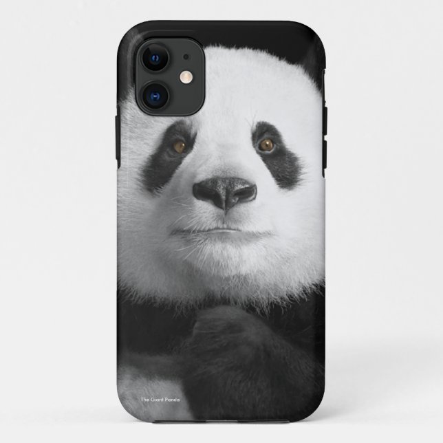 Panda-Image für iPhone-5-5S-Barely-There Case-Mate iPhone Hülle (Rückseite)