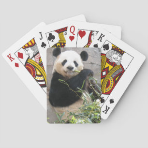 Panda-Imbiss Spielkarten