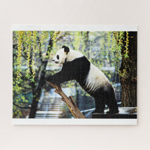 Panda Jigsaw Puzzle