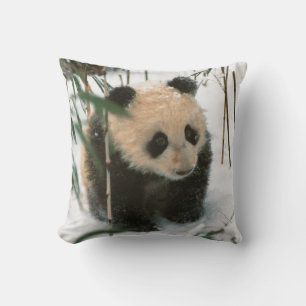 Panda-Jungtier im Schnee, Wolong, Sichuan, China Kissen