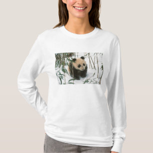 Panda-Jungtier im Schnee, Wolong, Sichuan, China T-Shirt