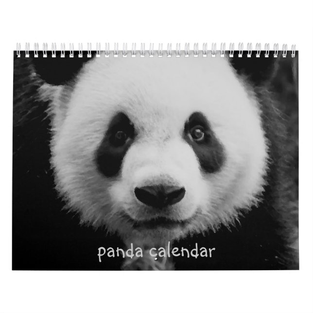 Panda Kalender (Titelbild)