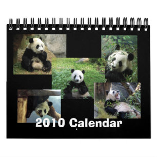 Panda-Kalender 2010 Kalender