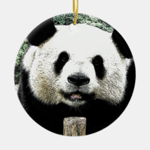 Panda Keramikornament
