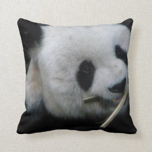 Panda Kissen
