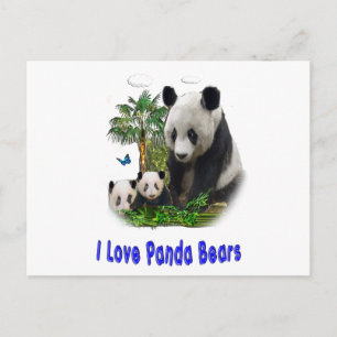 Panda Liebe Art Postkarte