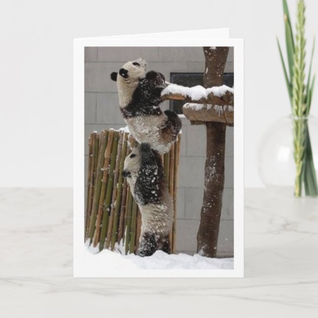 Panda Lift Karte (Vorderseite)