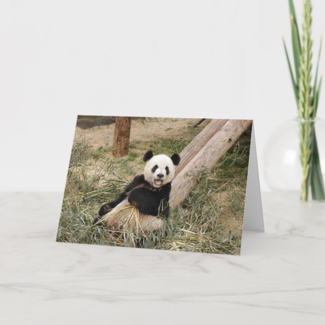 Panda M01 Karte (Vorderseite)