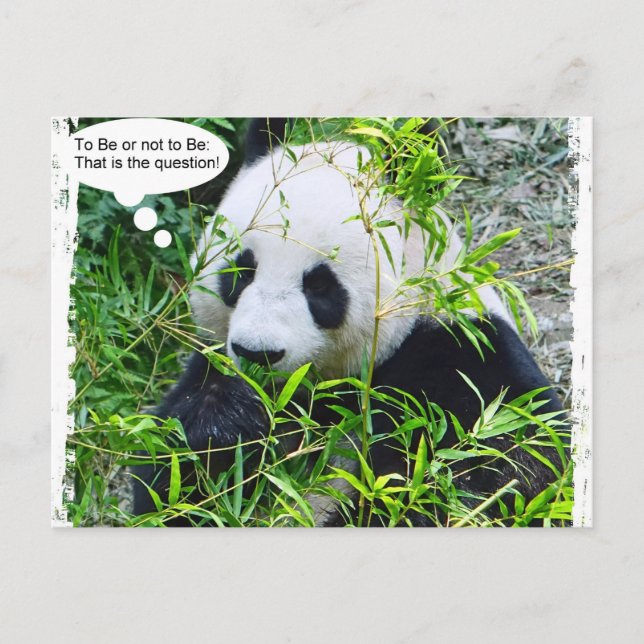 Panda Modern Pop Art Quote Template trendy Postkarte (Vorderseite)