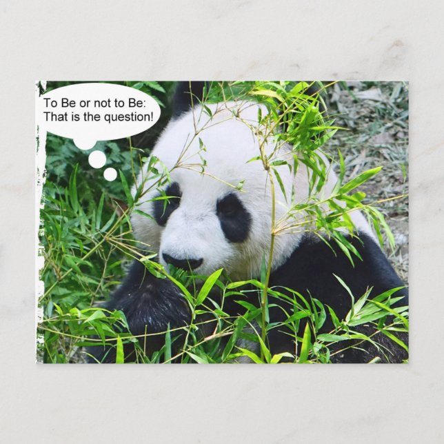 Panda Modern Quote Animal Template Trendy Postkarte (Vorderseite)