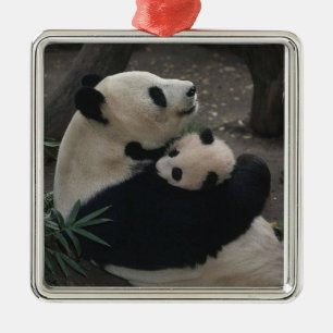 Panda Momma und Baby Silbernes Ornament