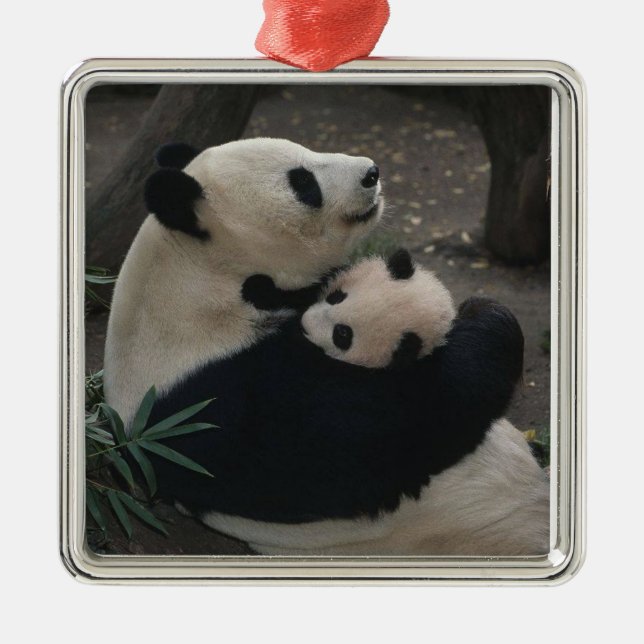 Panda Momma und Baby Silbernes Ornament (Vorne)