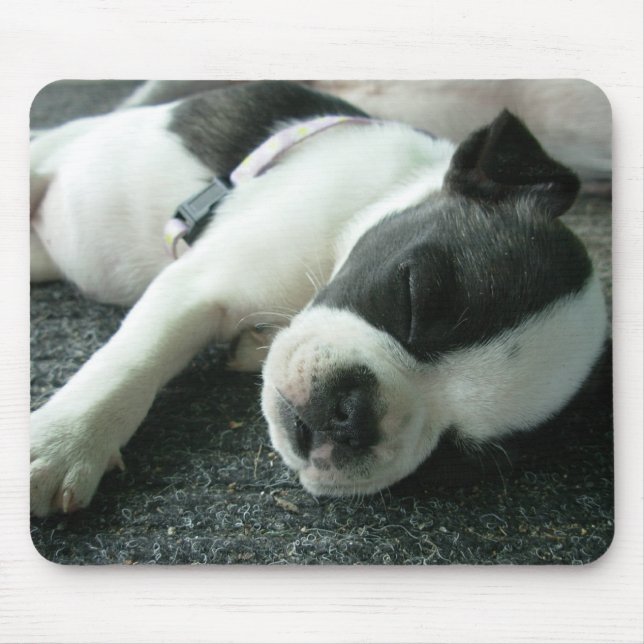 Panda Mousepad (Vorne)