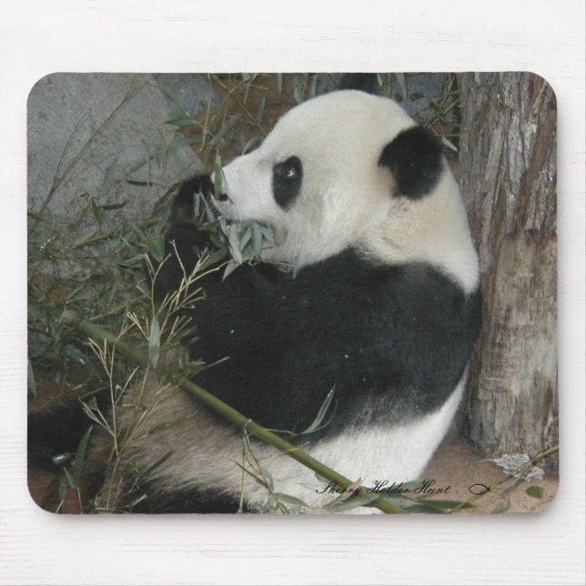 Panda mousepad (Vorne)