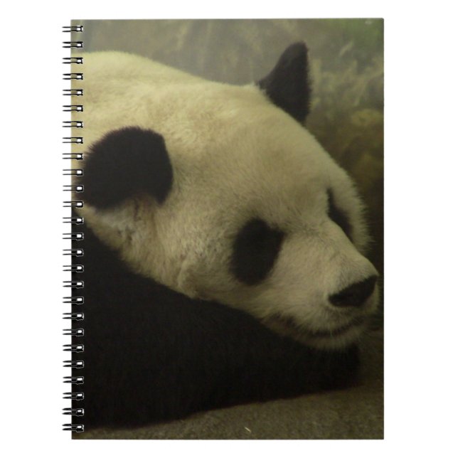 Panda Notebook Notizblock (Vorderseite)