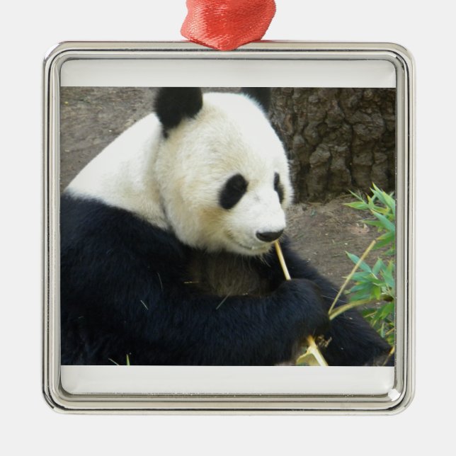 Panda Ornament Aus Metall (Vorne)