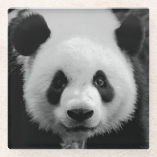 Panda Pop Art Glasuntersetzer