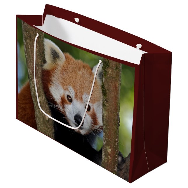 Panda Portrait Geschenktasche Große Geschenktüte (Vorderseite Schrägansicht)