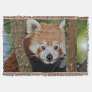 Panda Portrait Throw Blanket Decke