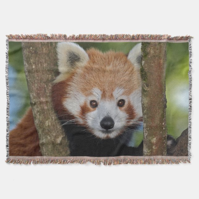 Panda Portrait Throw Blanket Decke (Vorderseite)