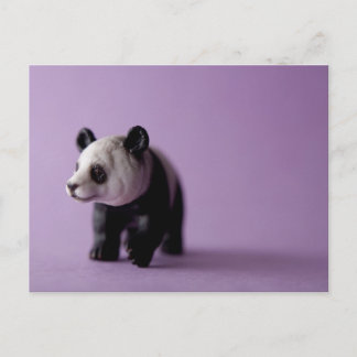 Panda Postcard Postkarte